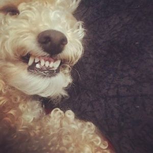 Meet your Posher, Timothy